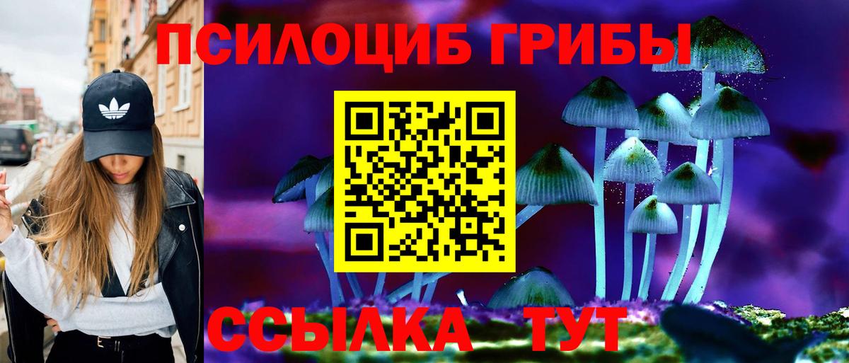 Новодвинск  Псилоцибиновые грибы MAGIC MUSHROOMS  Галлюциногенные грибы Psilocybe  Вход с VPN 