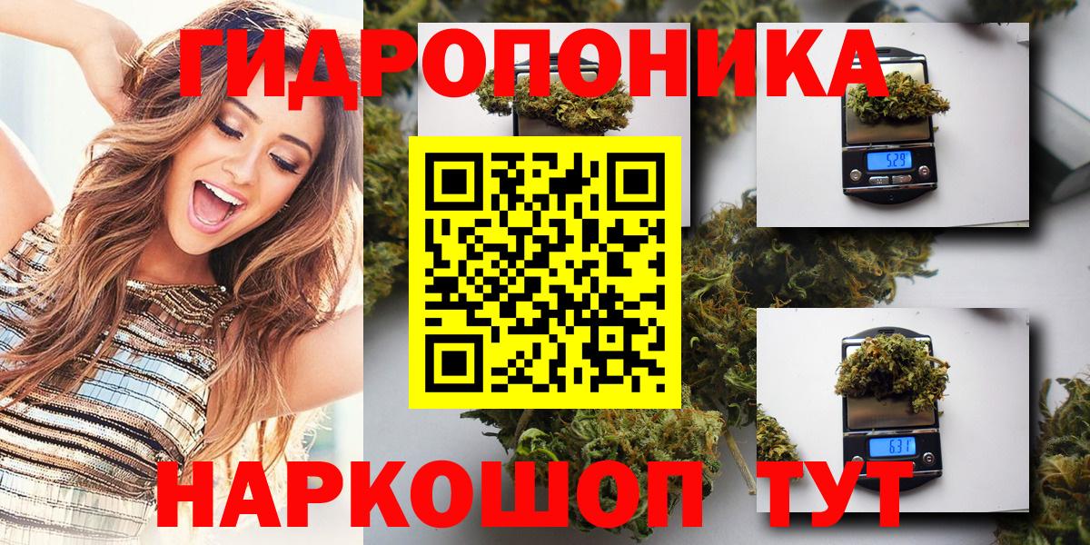 Шишки марихуана Amnesia Новодвинск